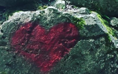 #01/21 Finde die Weisheit im Leben ❤️ Finde die Liebe