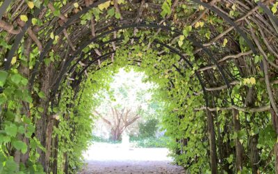 #02/21 Human Design – Wie es zu mir kam und warum ich es empfehle