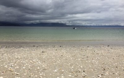 #06/21 Meditieren kann jeder?