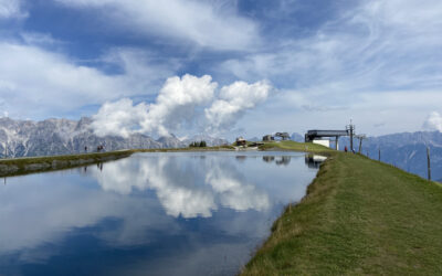 #22/21 Daheim bei mir. 🙏🏻