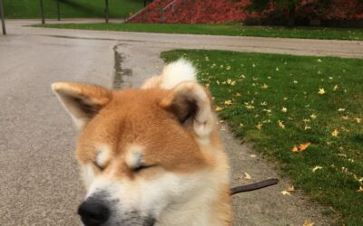 #30/21 von Komfortzonen & Human Design