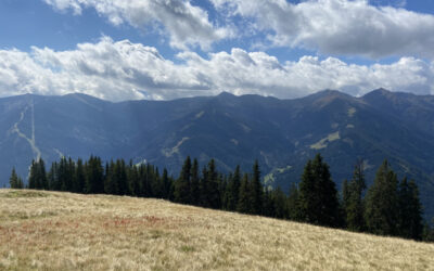 #31/21 up and down der Emotionen