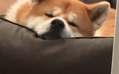 #02/22 Superpower 💫