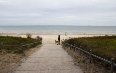 #08/22 Im Human Design liegt dein Weg zu Dir!