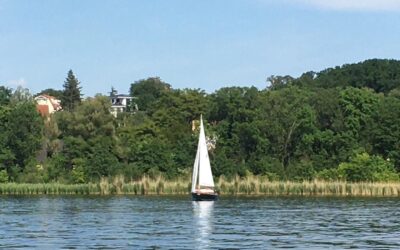 Natur – Natürlich? – Universe Nuggets #007 Mentale Frische