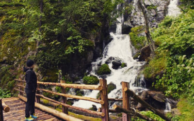 Was ist das Human Design System?