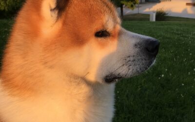 Sonnenschein & Wochenstart 🌞