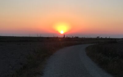 💫 Hello from my universe vom 11.08.2023