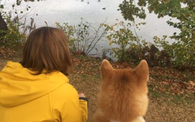 💫 Hello from my universe am 04.08.2023 Newsletter