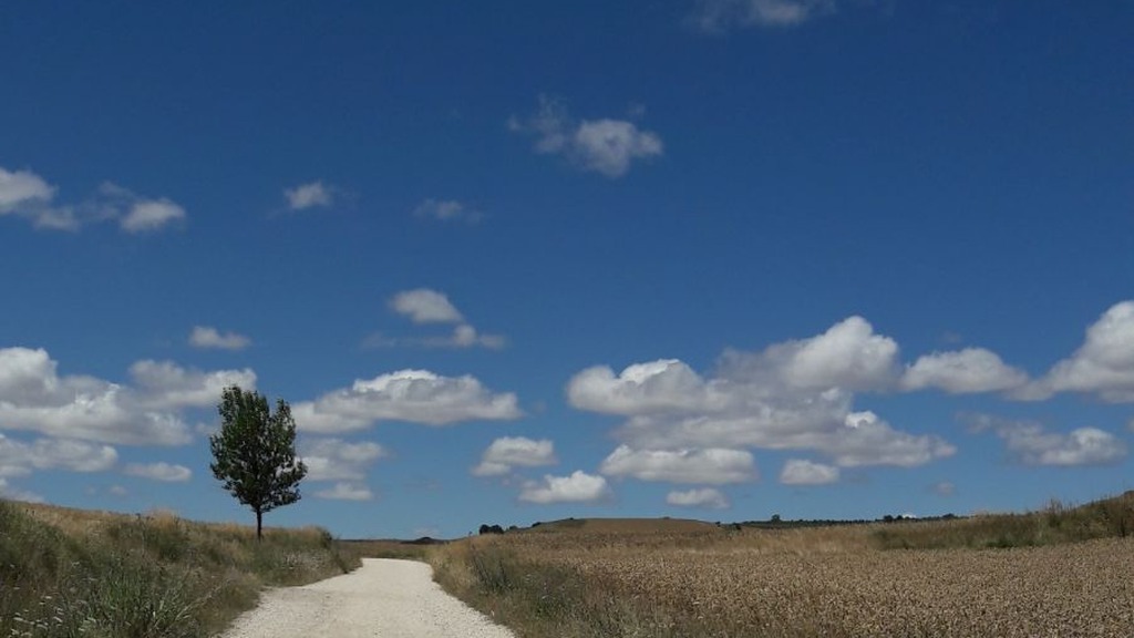 dusty dirt road winds through open fields with a lone tree on the left under a bright blue sky and scattered clouds