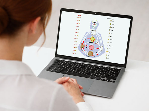 Frau sitzt vor einem Laptop und betrachtet ein Human Design Chart auf dem Bildschirm.